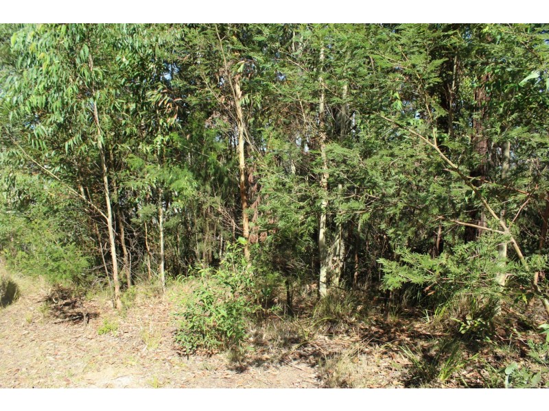 81 Litchfield Crescent, Long Beach NSW 2536