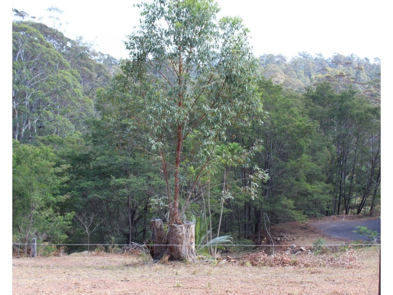 23 Highlands Avenue, Surf Beach NSW 2536