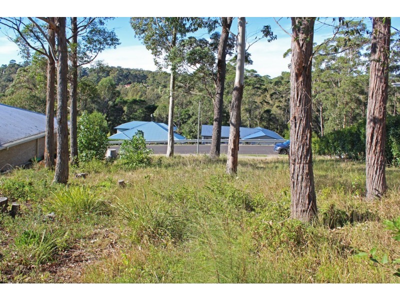 8 Oakwood Way, Catalina NSW 2536