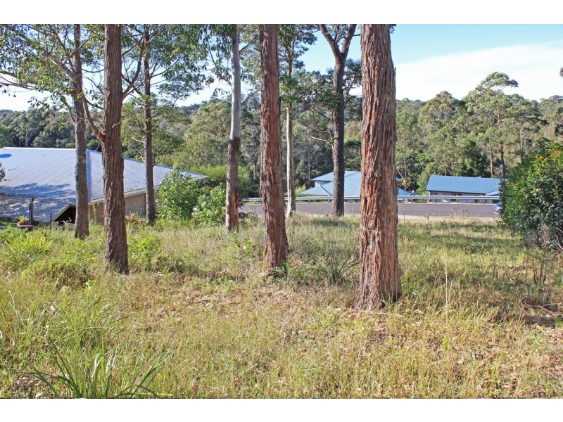 8 Oakwood Way, Catalina NSW 2536