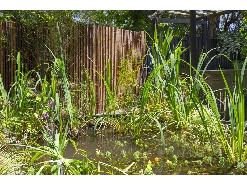 7 Nelligen Place, Nelligen NSW 2536