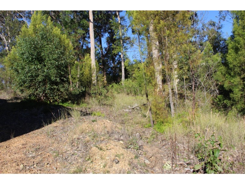 3 Osprey Place, Surfside NSW 2536