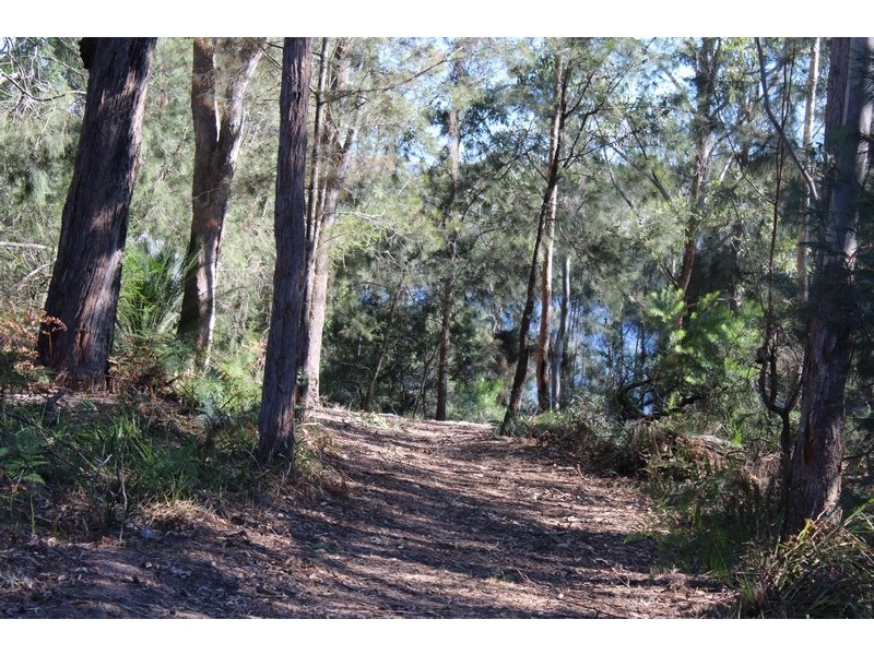 Lot 1 Sproxtons Road, Nelligen NSW 2536