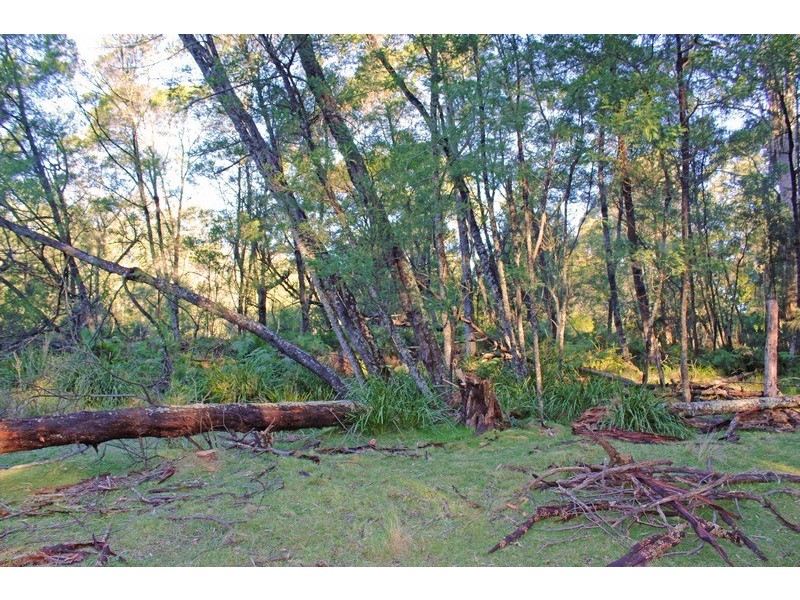 Lot 33 Egans Road, Nelligen NSW 2536