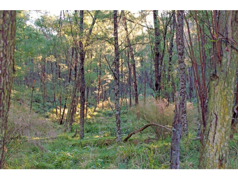 Lot 33 Egans Road, Nelligen NSW 2536