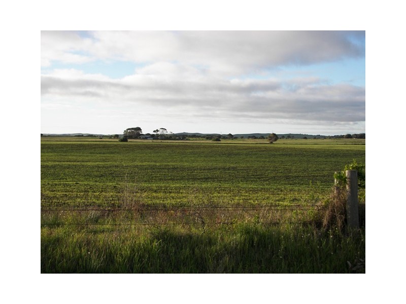 14 Boatswains Point Road, Boatswain Point SA 5275