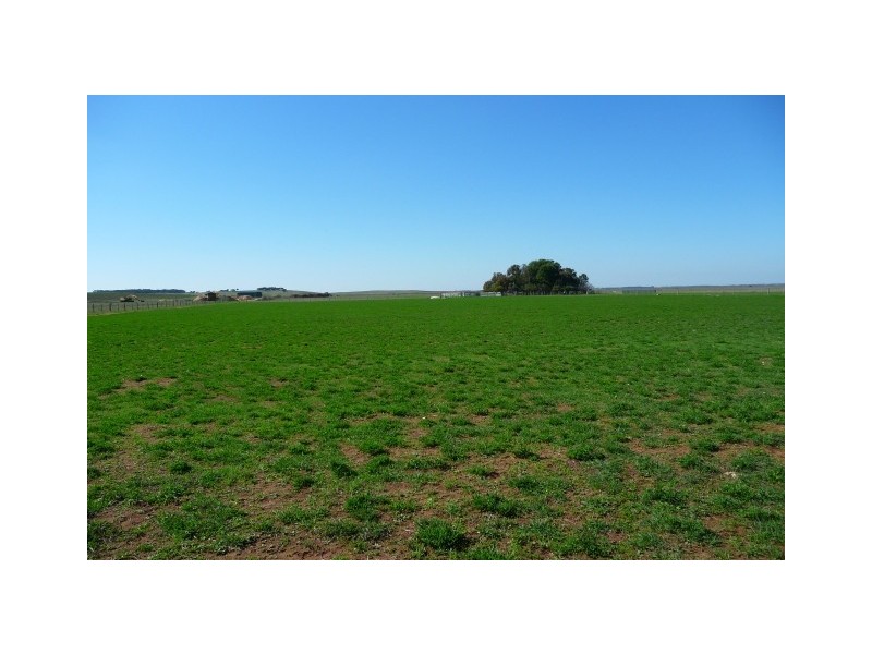 Lots 21-24 Government Road, Robe SA 5276