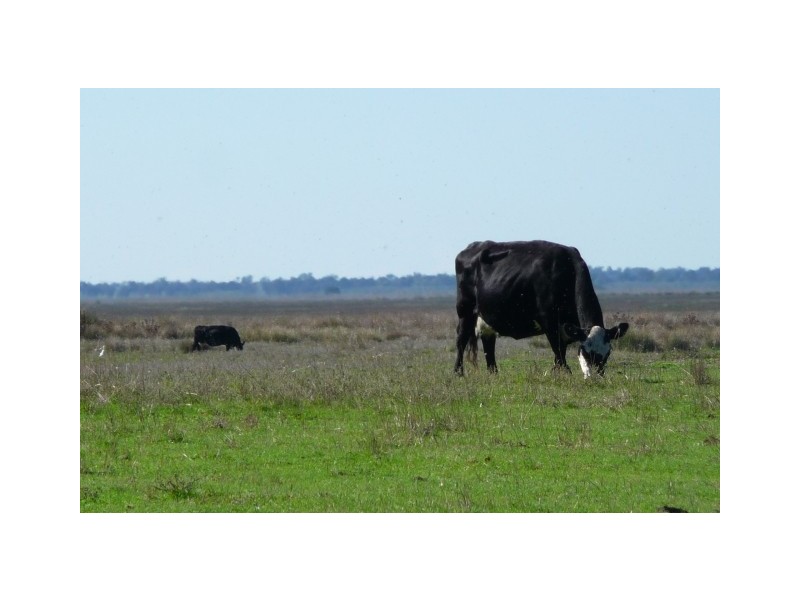 Lots 21-24 Government Road, Robe SA 5276