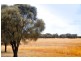 35 Sandy Lane, Robe SA 5276