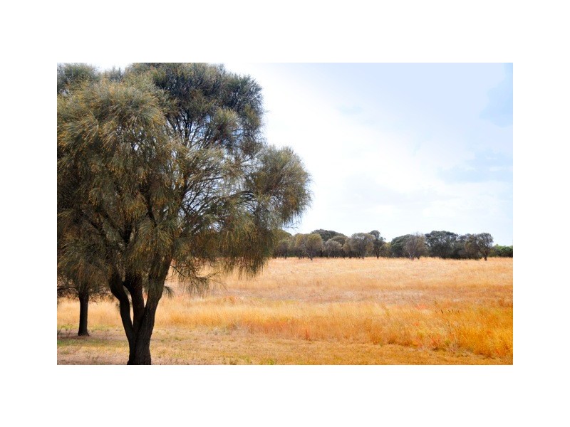 35 Sandy Lane, Robe SA 5276