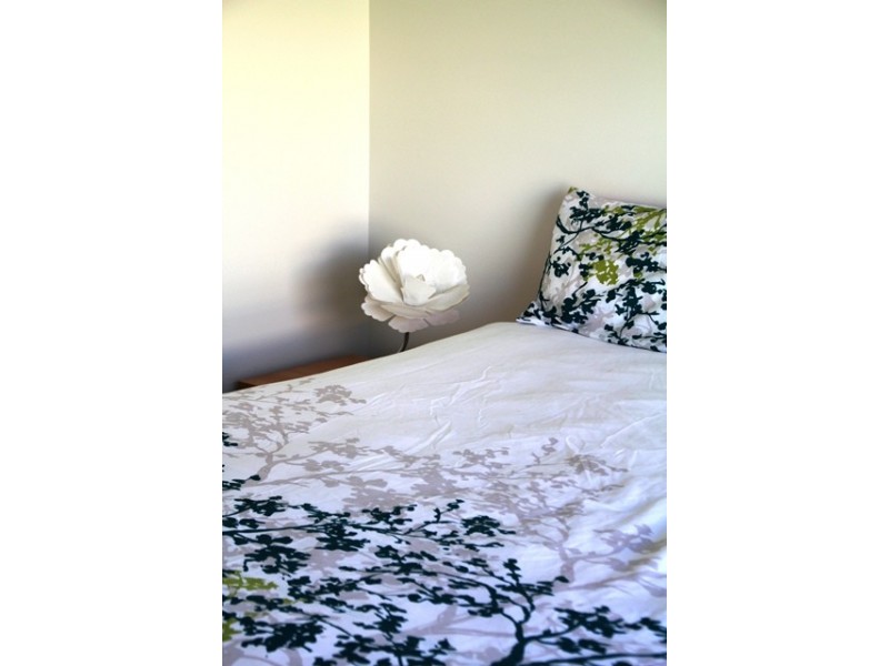 6 Mary Ellen Court, Robe SA 5276