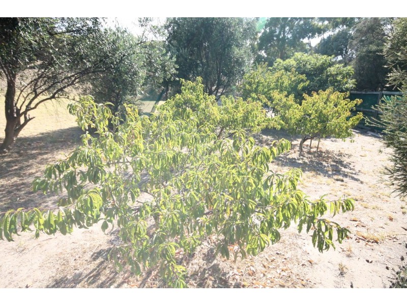 44 Quinlan Watson Drive, Robe SA 5276