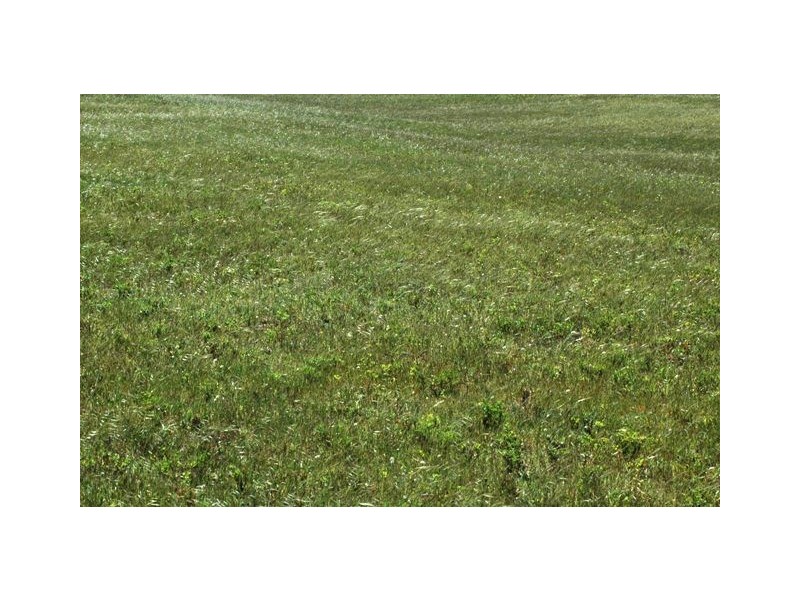 Lot 101 Southern Ports Highway, Robe SA 5276