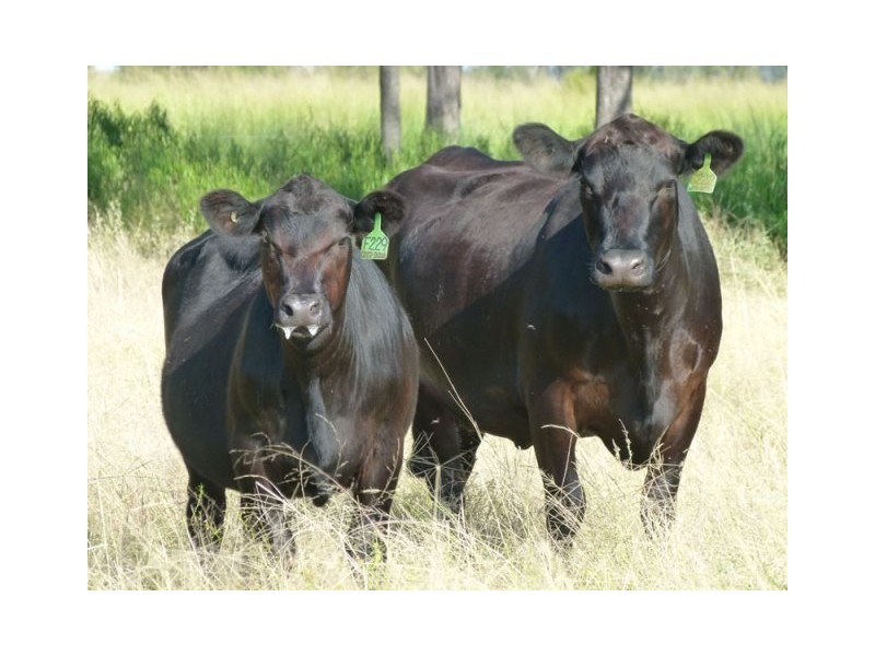 Lot 101 Southern Ports Highway, Robe SA 5276