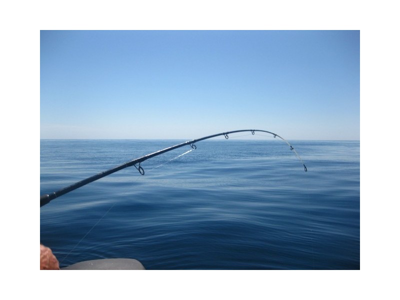 Lot 101 Southern Ports Highway, Robe SA 5276