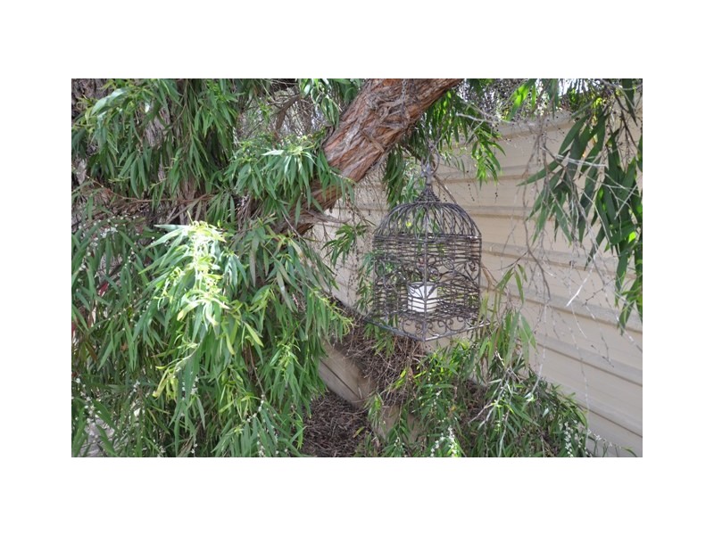 26B Laurel Terrace, Robe SA 5276