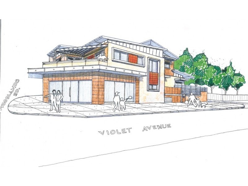 73 Woodlands Road, Liverpool NSW 2170