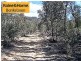Lot 3 Junction Point Road, Binda NSW 2583