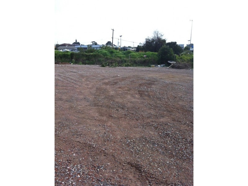 81 Wattle St, Mount Lewis NSW 2190