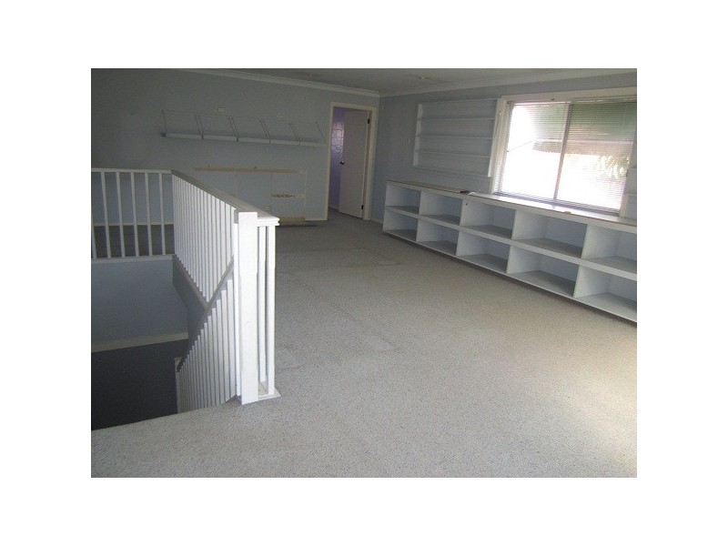 14 Ferguson Street, Wiley Park NSW 2195