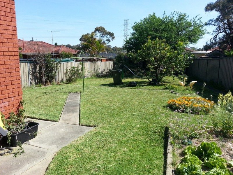 17 gilliver crescent, Greenacre NSW 2190