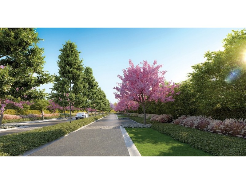 Biggera Waters QLD 4216