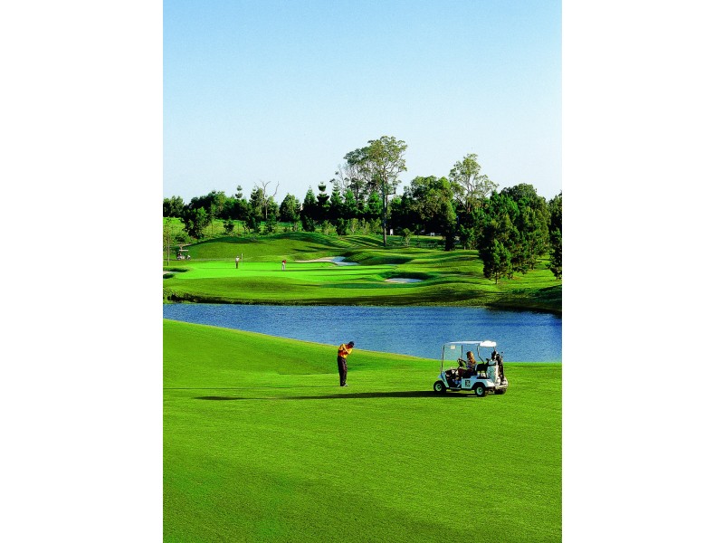 Upper Coomera QLD 4209