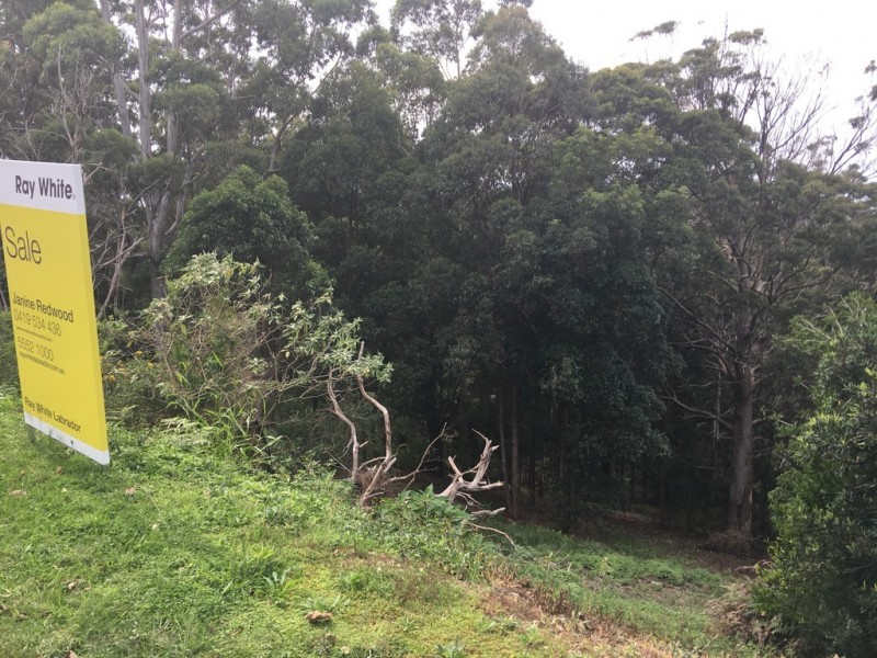 101 Contour Road, Tamborine Mountain QLD 4272