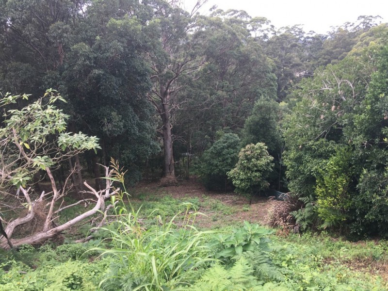 101 Contour Road, Tamborine Mountain QLD 4272