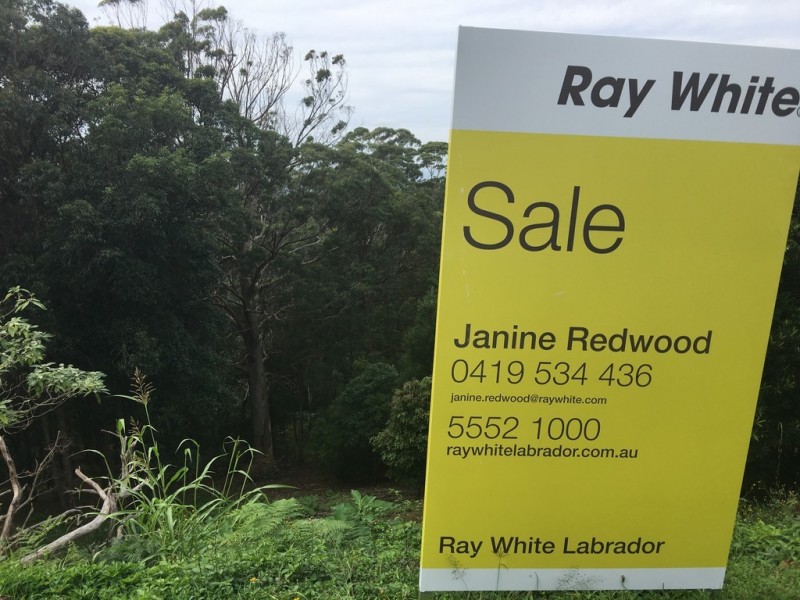 101 Contour Road, Tamborine Mountain QLD 4272