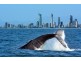 Southport QLD 4215