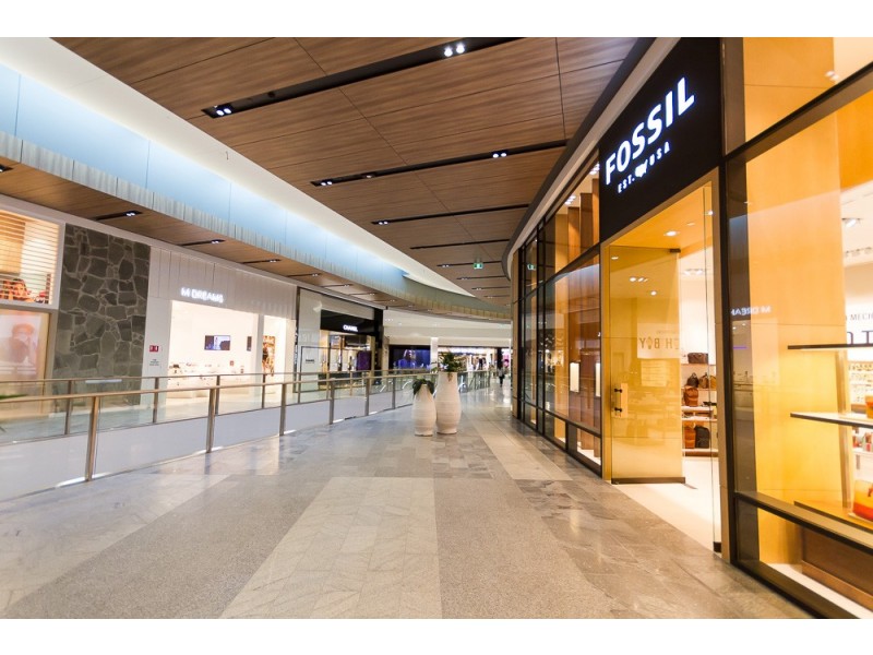 14 Cannes Avenue, Surfers Paradise QLD 4217