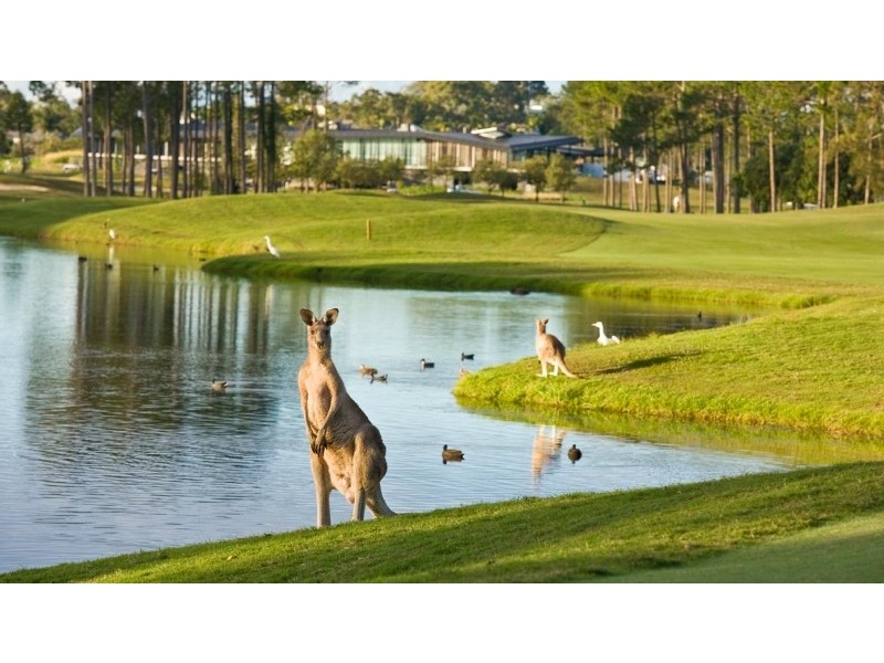 2658 The Address, Sanctuary Cove QLD 4212