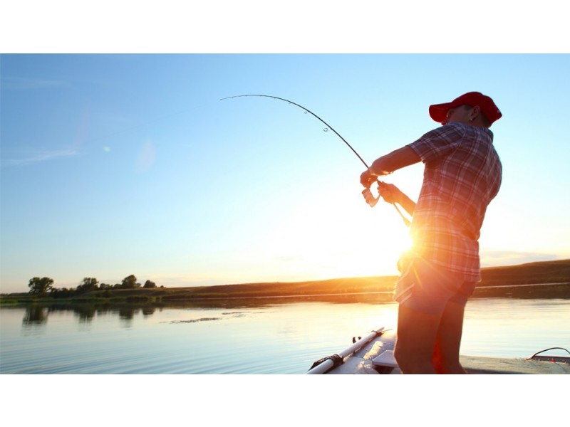 23 Villas Sickle Avenue, Hope Island QLD 4212