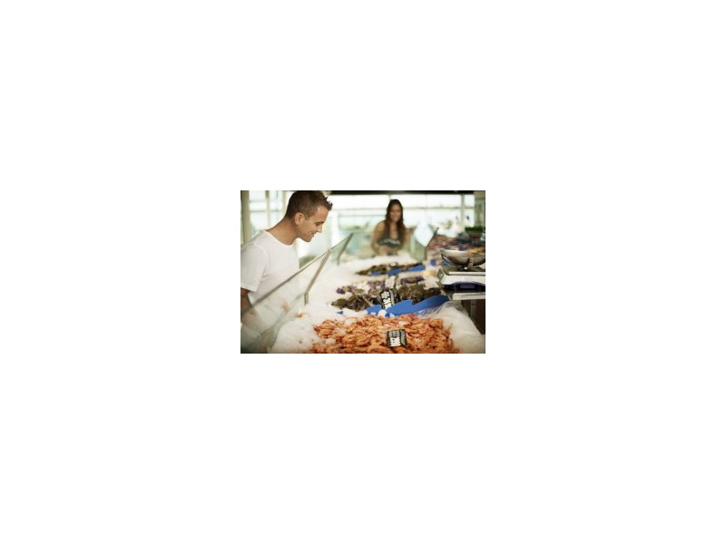 Labrador QLD 4215
