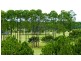 Sanctuary Cove QLD 4212