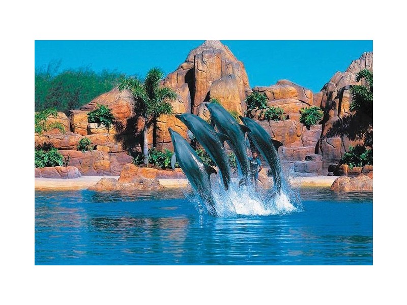 Biggera Waters QLD 4216