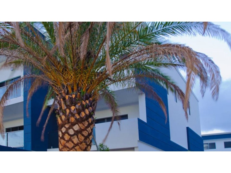 Hope Island QLD 4212