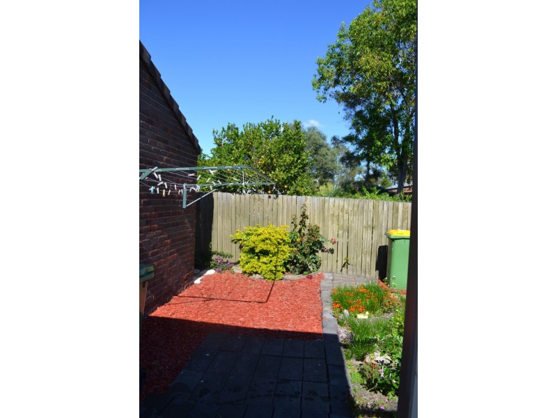 1/3 Bandicoot Court, Coombabah QLD 4216