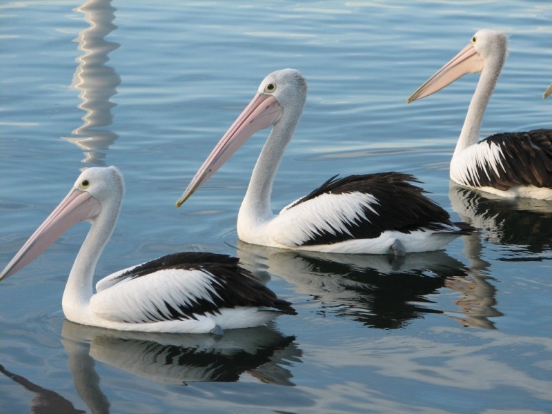 15/318 Marine Parade, Labrador QLD 4215