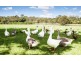 21 Bushgum Crescent, Upper Coomera QLD 4209