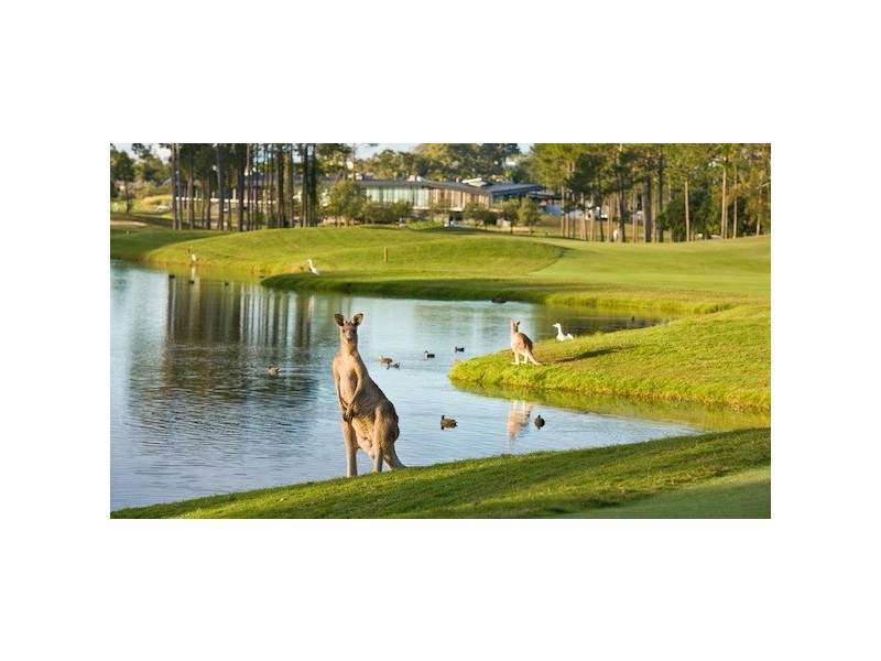 2/14 Pendraat Parade, Hope Island QLD 4212