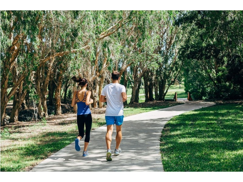 Lots 1-12 Cheltenham Drive, Robina QLD 4226