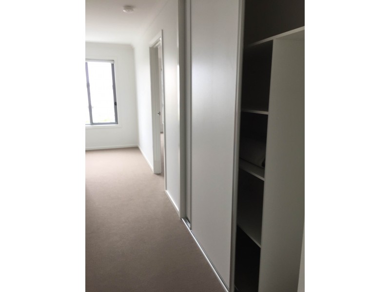 24 North Quay Circuit, Hope Island QLD 4212