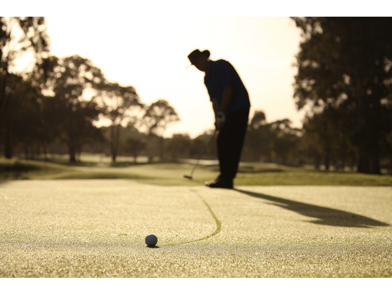 Hope Island QLD 4212