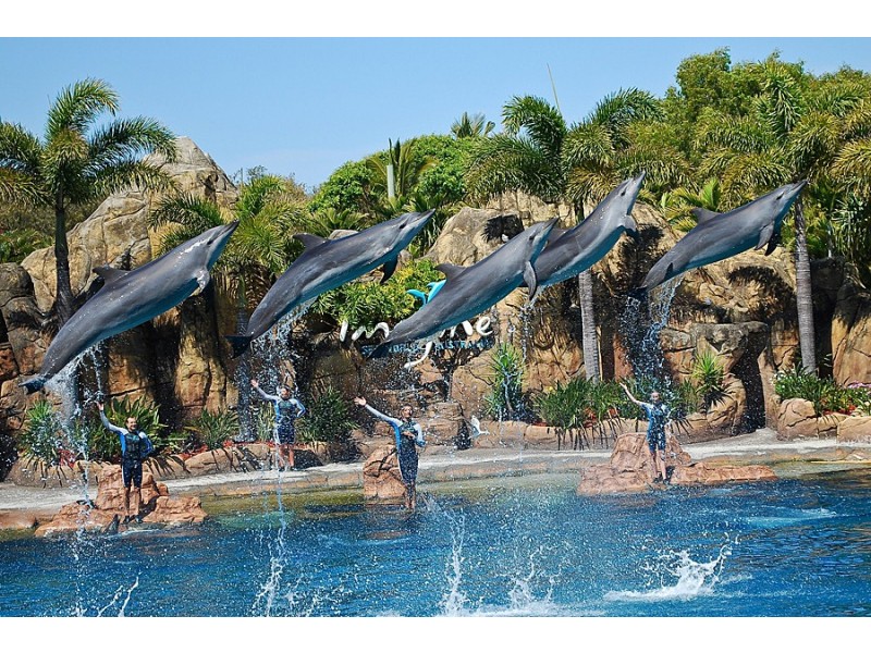 4/46 Brighton Street, Biggera Waters QLD 4216