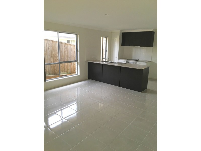 29B Custodian Cres, Ormeau QLD 4208