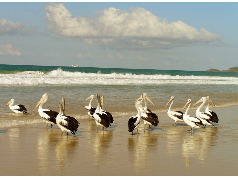 201/35 Halcyon Way, Hope Island QLD 4212