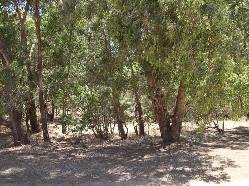 72 Silver Princess Way, Jane Brook WA 6056