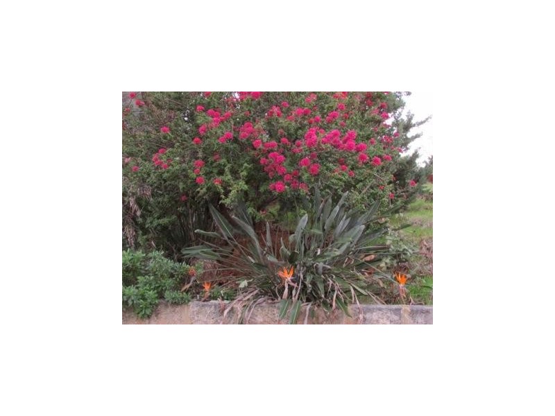 1 Gray Road, Gooseberry Hill WA 6076